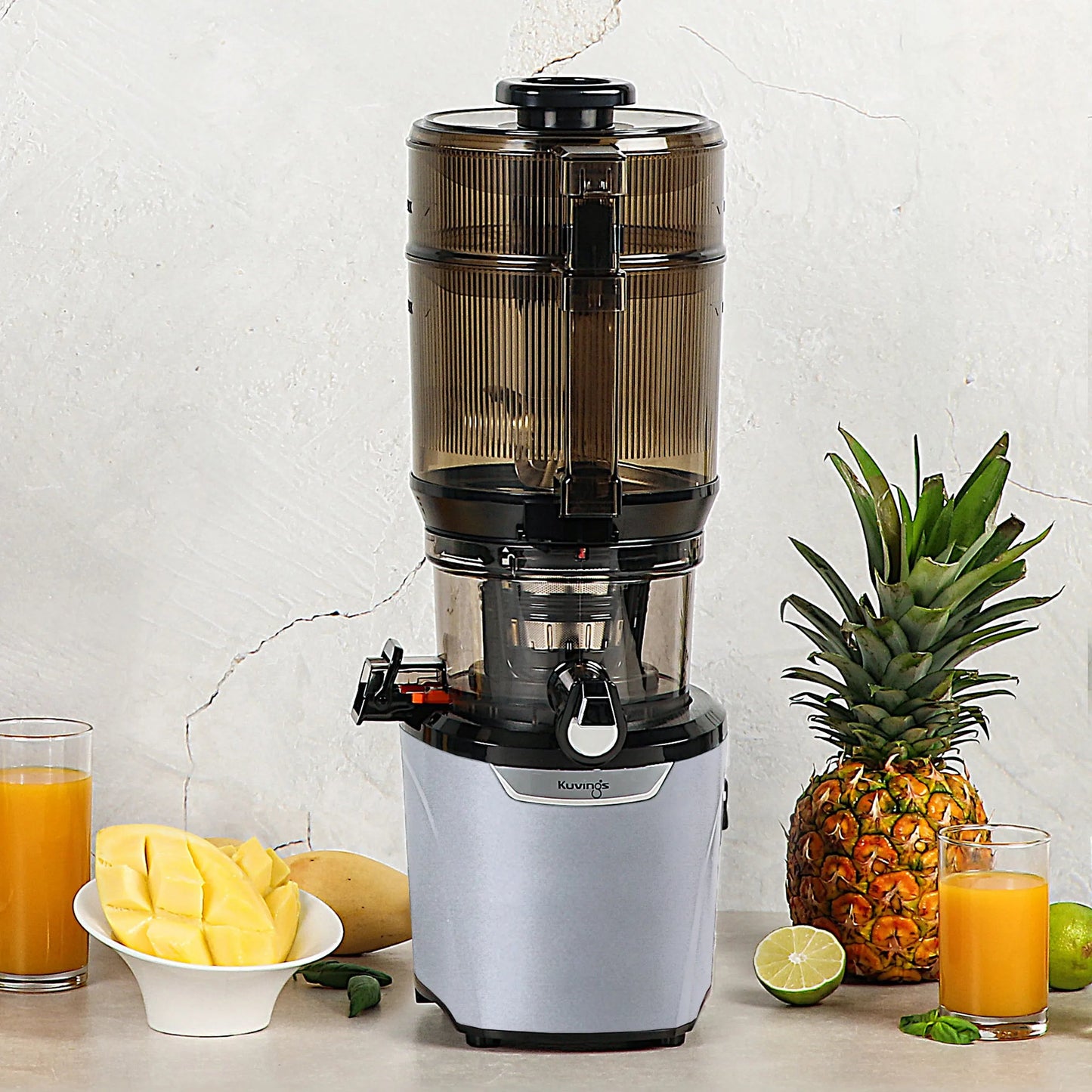 AUTO10 Plus Hands-Free Slow Juicer